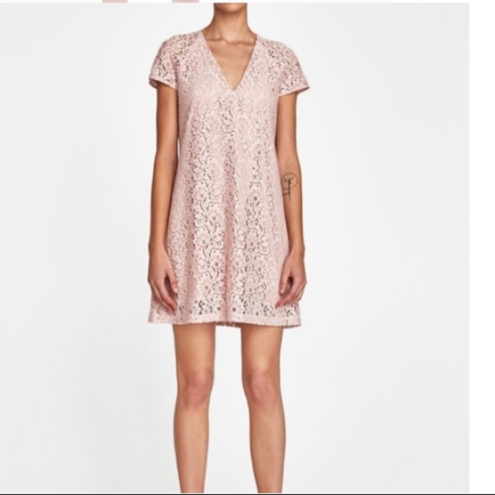 Zara Pale Pink Eyelet Lace Cap Sleeve Shift Dress